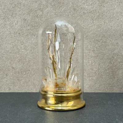 Beautiful Dome Glass Accessories