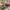 luxury bed set for master bedroom – furniture in Pakistan